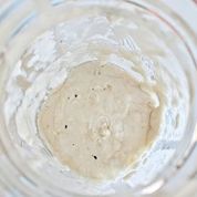 bubbling yeast