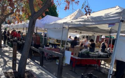 Shopping for Salad at the Calabasas Farmers’ Market